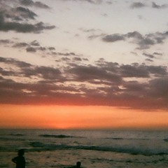 i know the end by phoebe bridgers