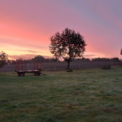 5:30 a.m.