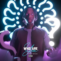 Who Are You - YungPapiSpiice