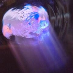 every_blue_moon [8-18-25]