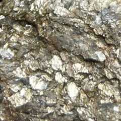 Grief Work Episode 5