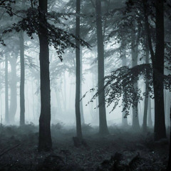 Michael Poon - Silent Canopy (dub version 2025)