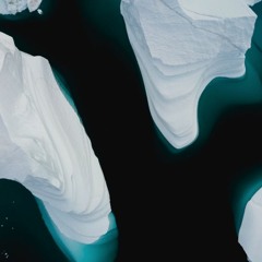 Premiere: Robot Koch And Blankfor.ms - Migratory
