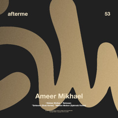 PREMIERE: Ameer Mikhael - Between [DAM53]