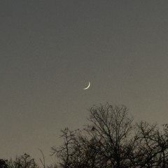 20181029-20210429