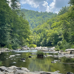To Follow a God into the Trees