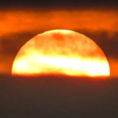 Let The Sunshine Thru 240712