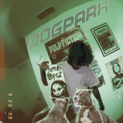 DOGPARK 727 (prod. WAVES)