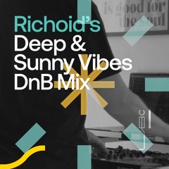 Deep & Sunny Vibes Drum & Bass Mix | July 2025