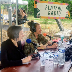 Que nous racontent les bals?