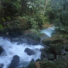 Tech(house) mixtape nov 2023