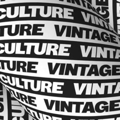 Vintage Culture Is A Festival @ Classics Stage │ Promised Land 2024
