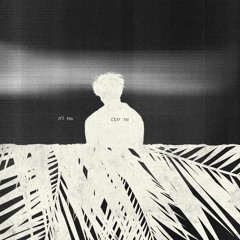 Surf Mesa - It's You (C'est Toi)
