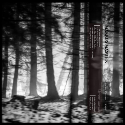 [KM013D] Markus Masuhr - Ancient Woodland EP