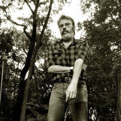 vinte e nove (legião urbana)