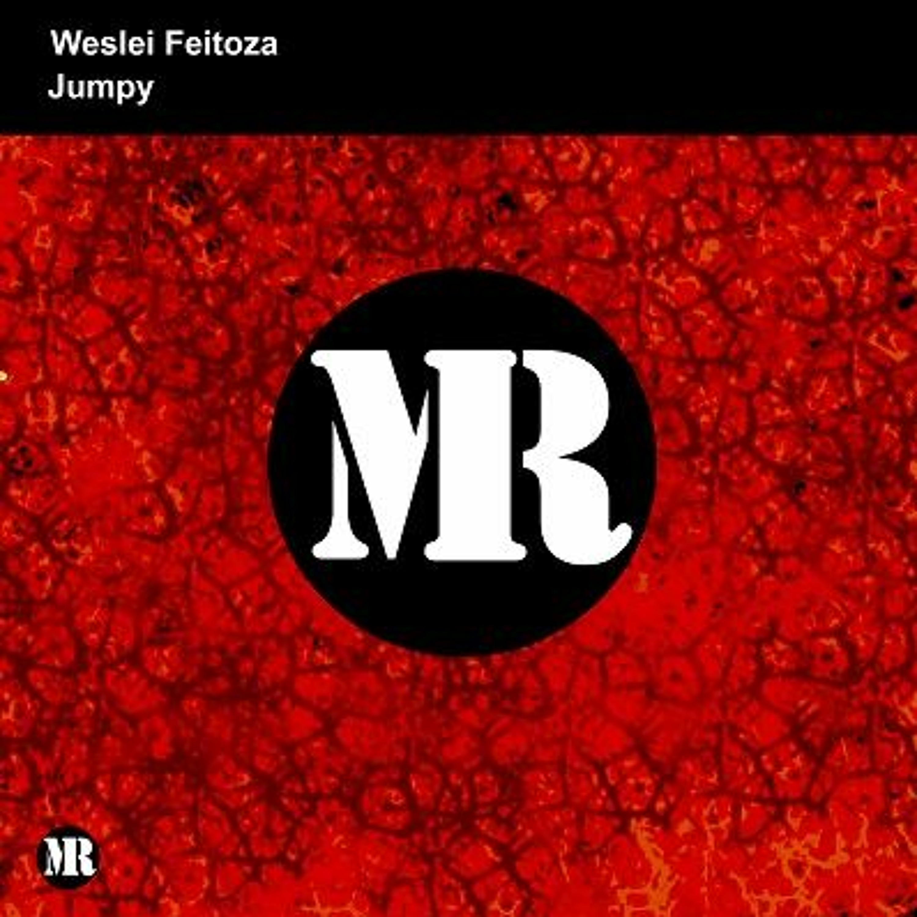 Weslei Feitoza