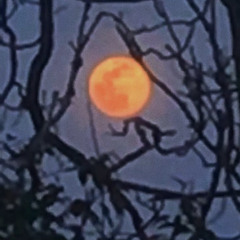 lo-fi hip hop memphis rap