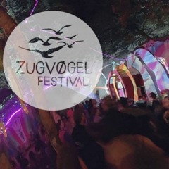 Wille zum Wahnsinn @ Zugvögel Festival 2021