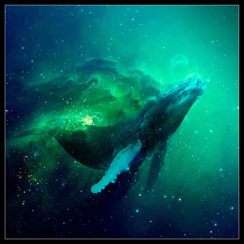Rapture Of The Deep (with Run Kennedy)