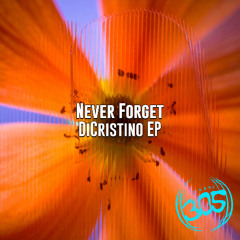 DiCristino - Never Forget (Radio Edit)