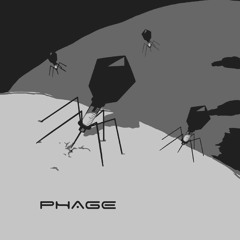 Phage