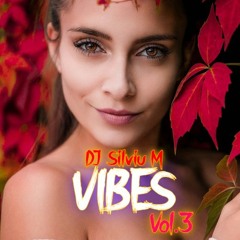 DJ Silviu M - Party Mix 2023 (Vibes Vol.3)