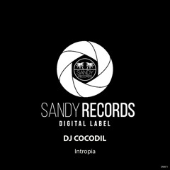 Dj Cocodil - Intropia