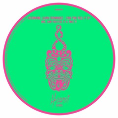 Lujan Fernandez, Afernand - Take It (Original Mix)