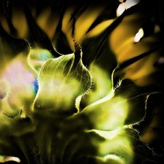 240905 - Ear Relevance 1