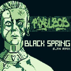 Pixelbob - BLACK SPRING (S_TN Rmx)