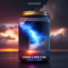 Examind & Robin Clark - Perfect Storm