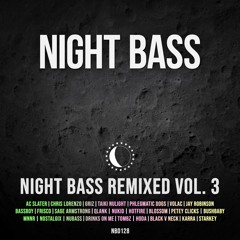 Bushbaby - Naughty Pleasure (NuKid Remix)