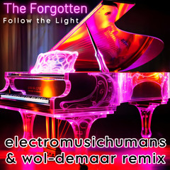 The Forgotten - Follow the Light  (ElectroMusicHumans & Wol-Demaar Remix)