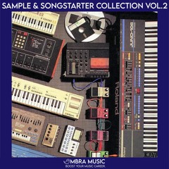 Ombra Samples - Sample & Songstarter Collection Vol.2