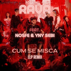 RAVA  feat. Nosfe & YNY Sebi - Cum Se Mișcă [LLP Remix]