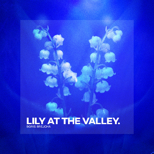 Stream Lily At The Valley (Original Mix) by Boris Brejcha | Listen