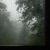 Fallen Down (Extended Version)