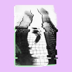 03 AC Maibach - Sock Dealer