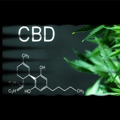 - CANNABIDIOL (CBD) - Healing Binaural Beats - Muscle Relaxation, Insomnia & Anxiety Treatment