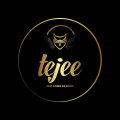 Bhangra Bangers 2025 DJ Tejee