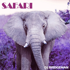 Safari (Radio edit) - DJ Bridgeman