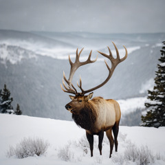 Evan Etcitty Sr singin//Ronson D. Etcitty Drummin//May 2024//(Ruben & Talayah’s Birthday Meeting)