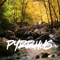 Pyrrhus Live #3 - Organic/ Chill out/ relaxation/ DJ set/ Electronic Dance