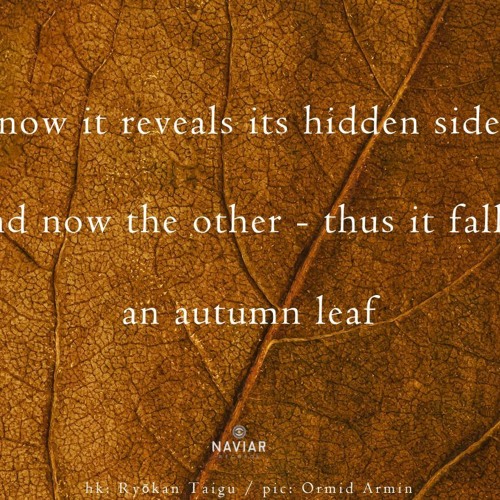 NLS - 2023 - 09 - 14 -now It Reveals Its Hidden Side  (Naviarhaiku 506)