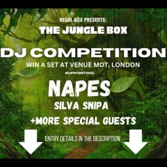 @regal_boxx DJ Competition Mix - Mallin