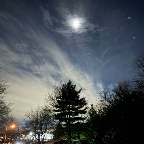 why can’t you[demo]