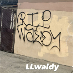LOVE OR FEAR MMT WALDY