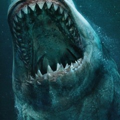 Yadambe - Adult Shark