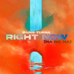 Baris Turna - Right Now (Na Na Na)