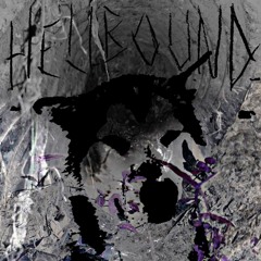 leave the light on - Violet Chambers